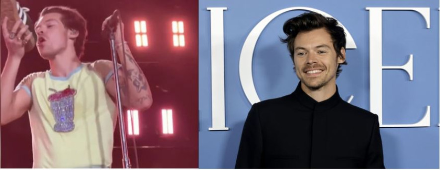 किन ह्यारी स्टाइल्स आफै संग लजित भए ?